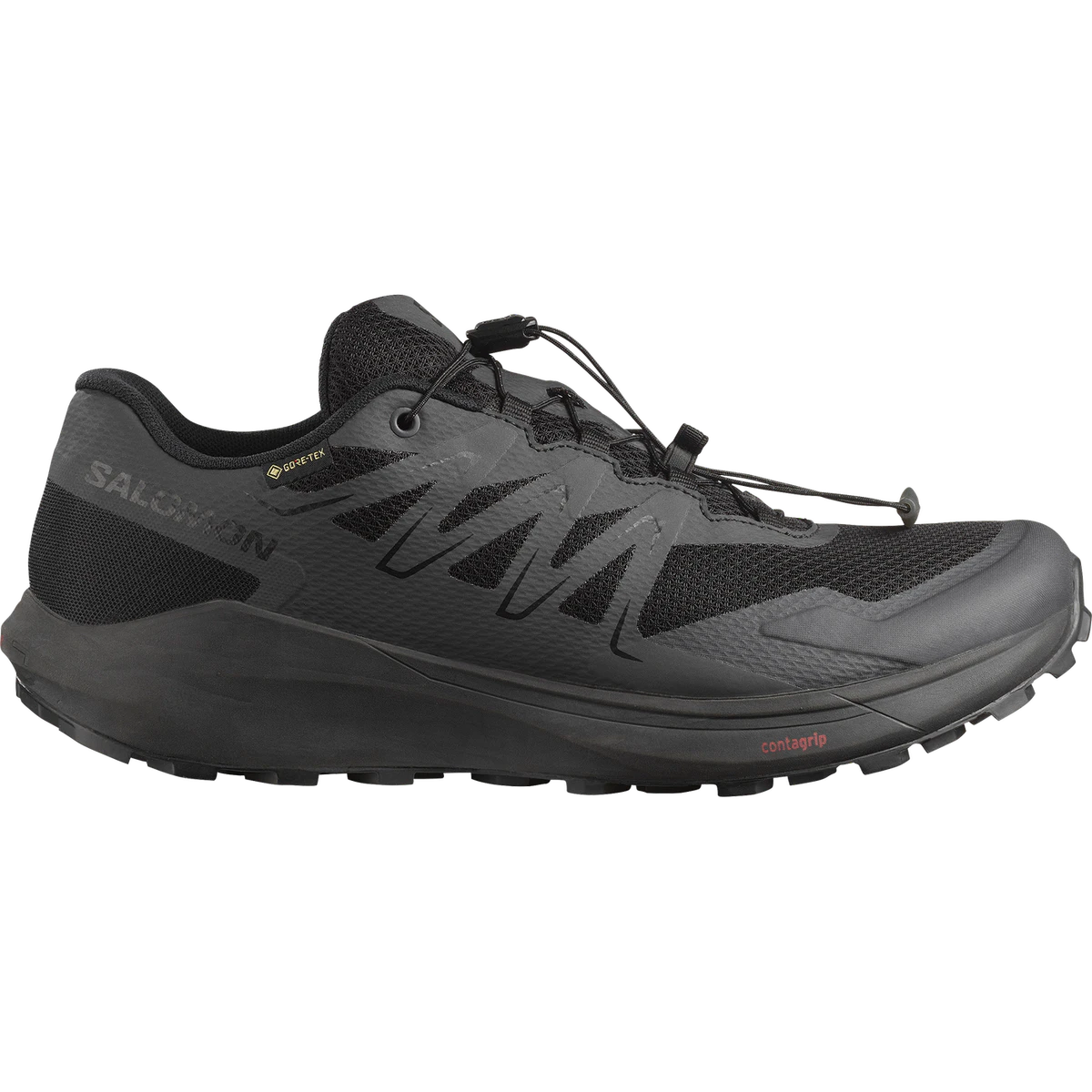 Salomon Temper GTX in Black