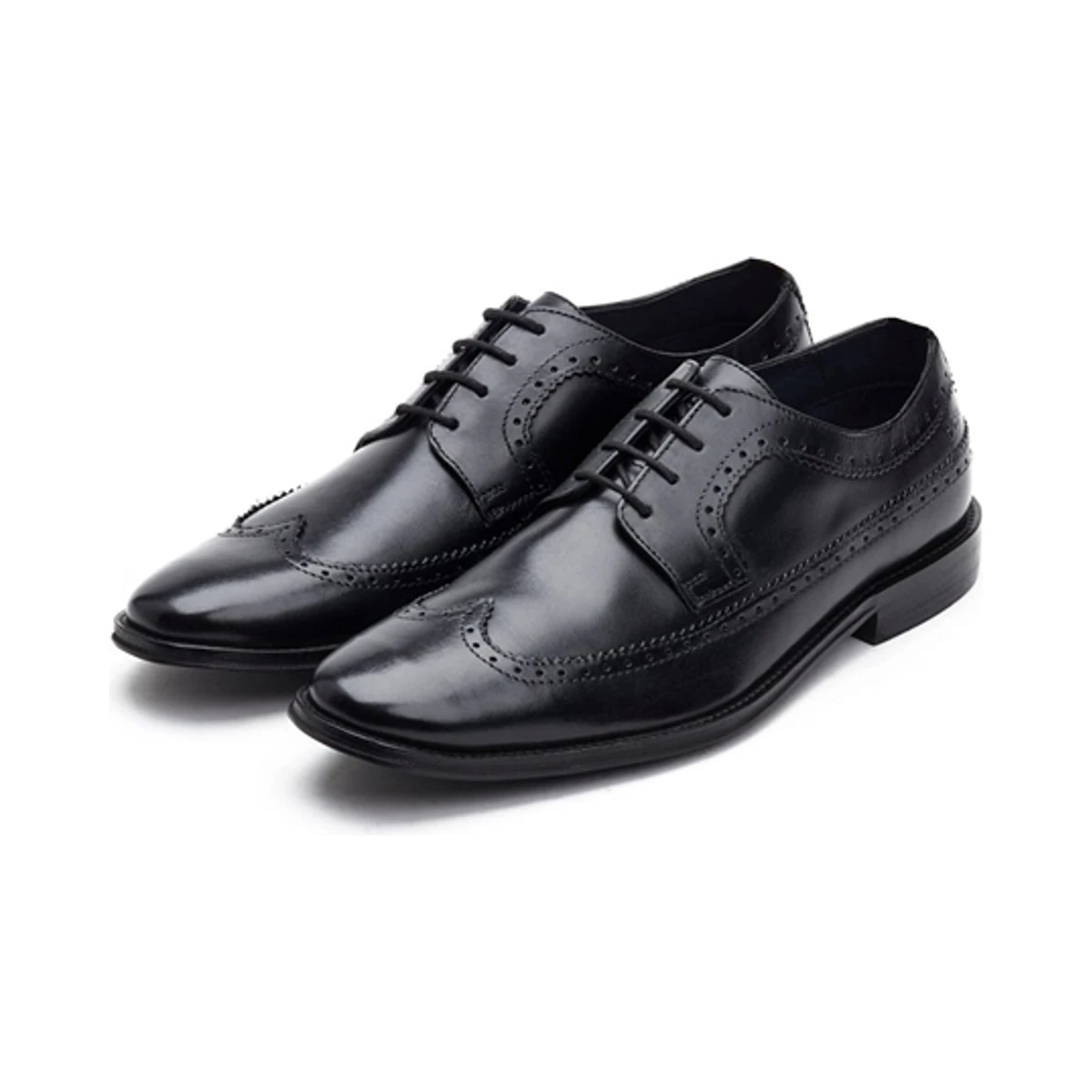 Base London Havisham Lace Up Brogue Shoe in Black