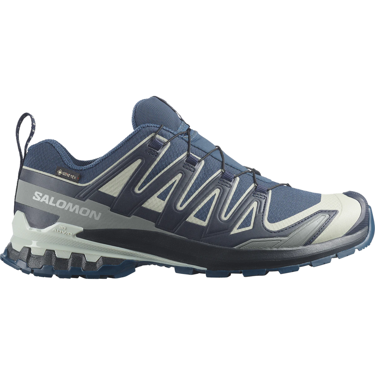 Salomon XA Pro 3D V9 GTX in L49199200