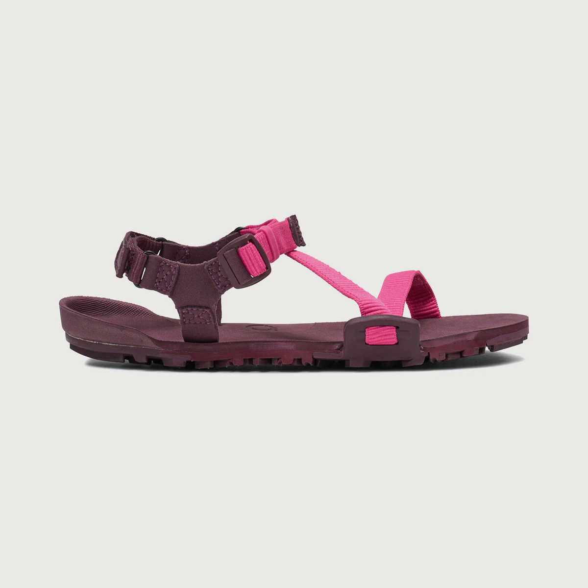 Xero Shoes Z-Trail EV in Pink / Purple