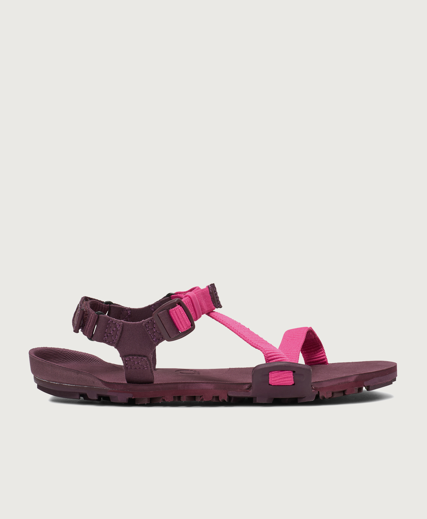 Xero Shoes Z-Trail EV in Pink / Purple