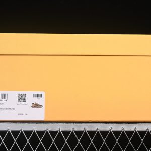 Dior B30