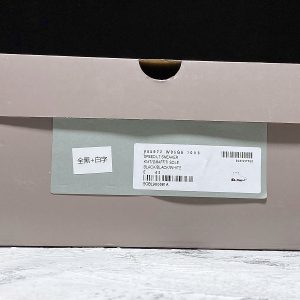 Balenciaga Plus Speed Shoes