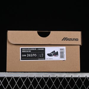Mizuno