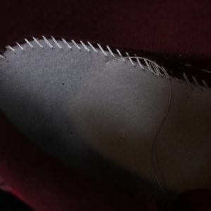 Adidas Originals Campus 00s Collegiate