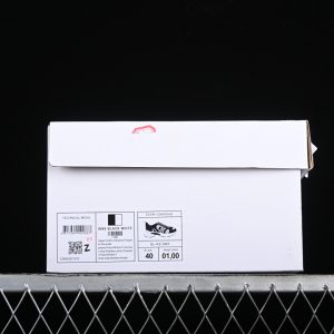 Dior B33