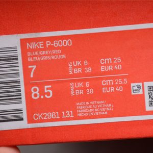 Nike P-6000