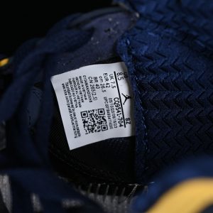 Nike Jordan 5