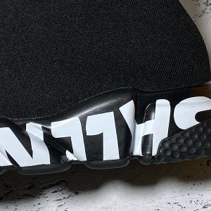 Balenciaga Plus Speed Shoes