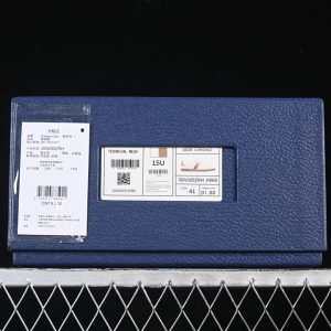 Dior B27