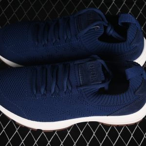 Dior B33