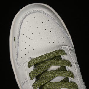 Nike SB Dunk Low Gucci