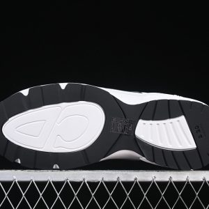 Dior B30