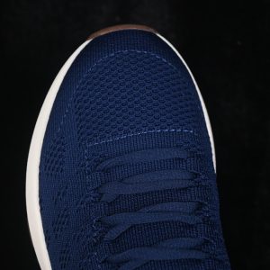 Dior B33