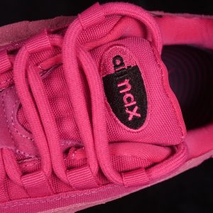 Nike Air Max 95 Air Cushioned Running Shoes