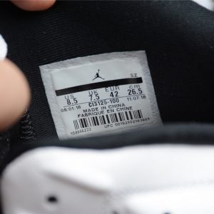 Nike Jordan 6