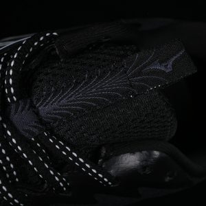 Mizuno