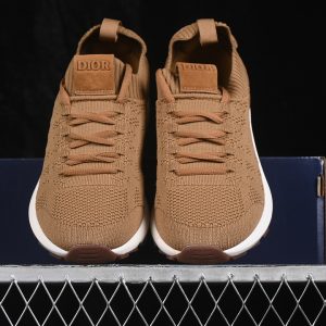 Dior B33