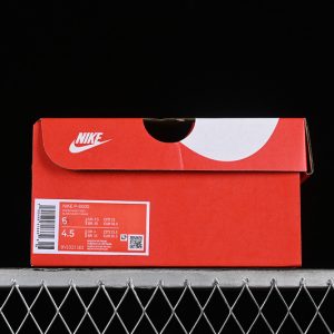 Nike P-6000