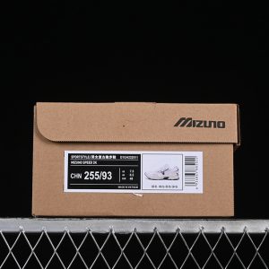 Mizuno