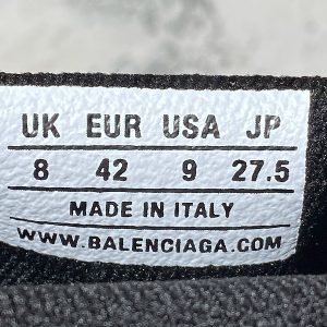 Balenciaga Plus Speed Shoes