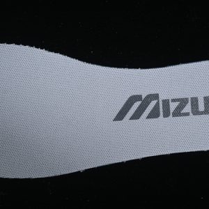 Mizuno