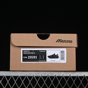 Mizuno