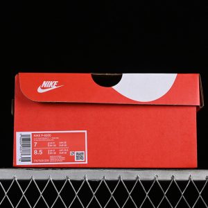 Nike P-6000