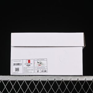 Dior B33