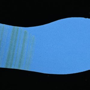 Adidas Originals Campus 00s