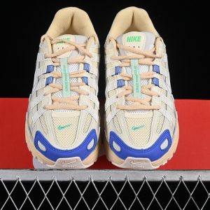 Nike P-6000
