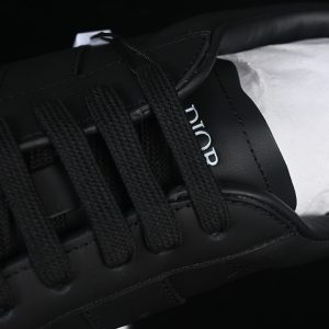 Dior B27