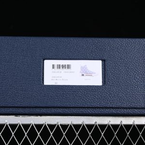 Dior B23