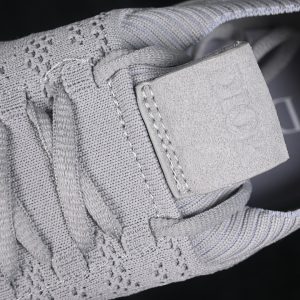 Dior B33