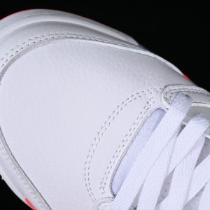 Nike Jordan 5
