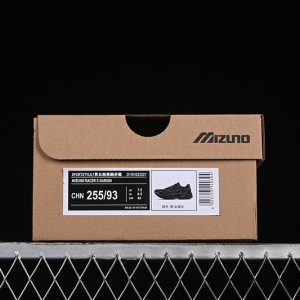 Mizuno