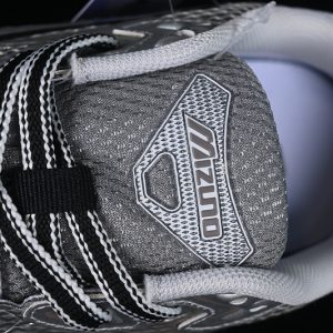 Mizuno