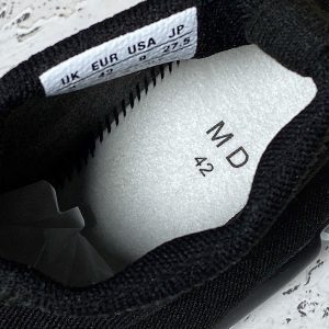 Balenciaga Plus Speed Shoes