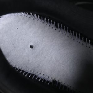 Nike Air Max 95 Air Cushioned Running Shoes