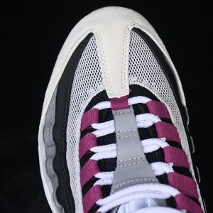 Nike Air Max 95 SB Summit
