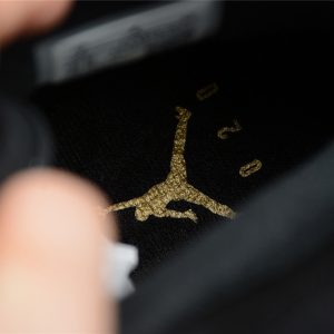 Nike Jordan 6