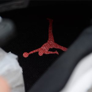Nike Jordan 6