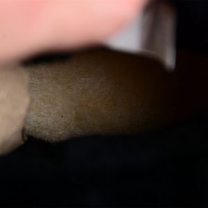 Ugg Casual Shoes