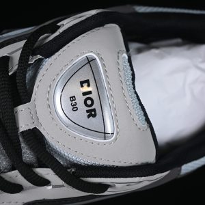 Dior B30