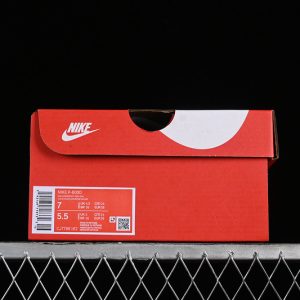 Nike P-6000