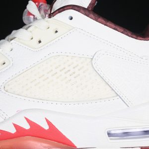 Nike Jordan 5