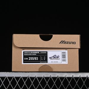 Mizuno