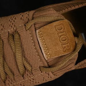 Dior B33