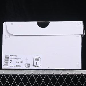 Nike Mind 001 Slide Team