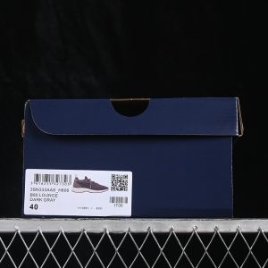 Dior B33